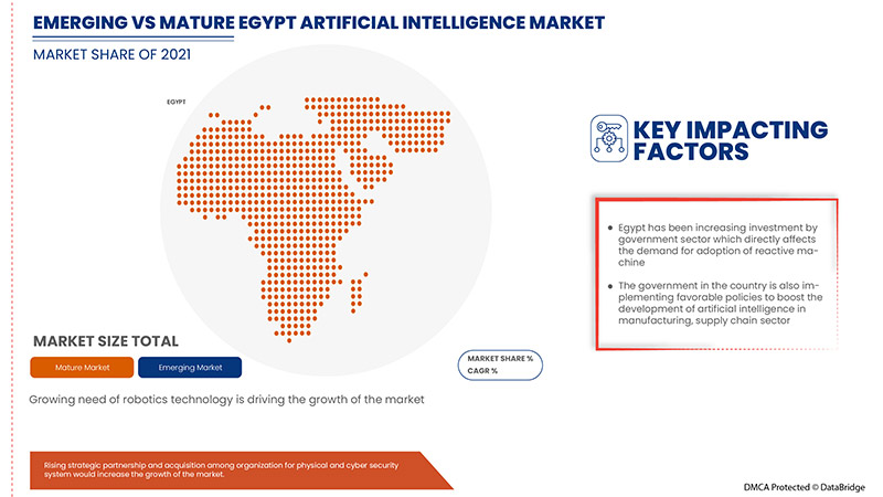 Mercado de inteligencia artificial de Egipto