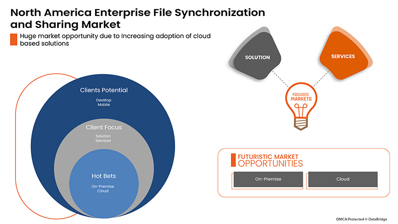 North America Enterprise File Synchronization and Sharing Market