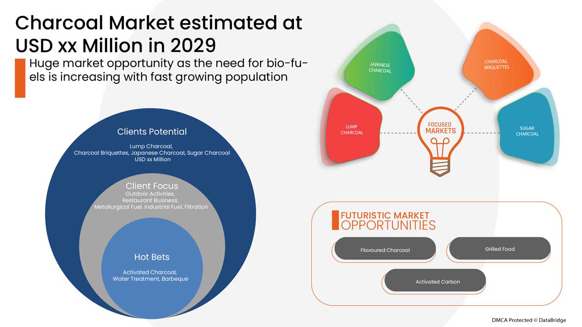 글로벌 숯 시장