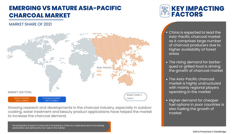 Asia-Pacific Charcoal Market