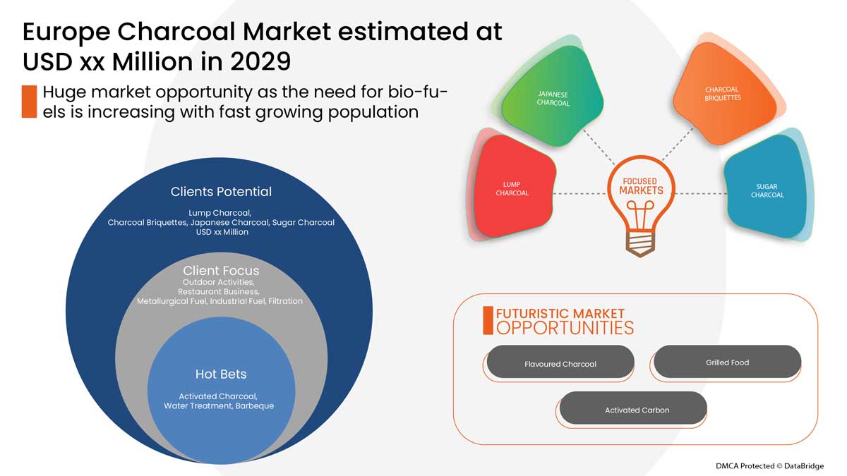 Europe Charcoal Market