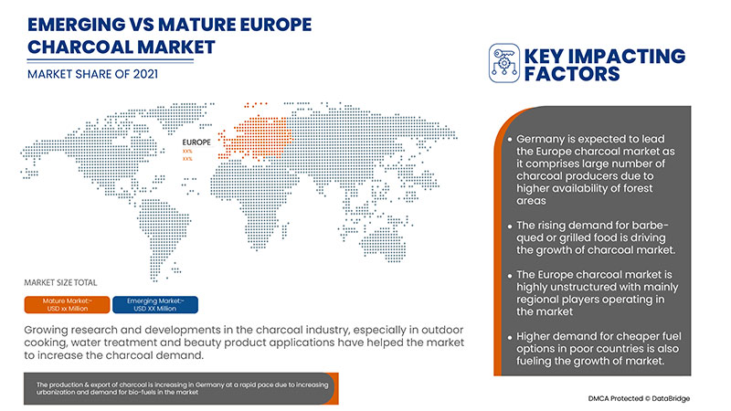 Europe Charcoal Market