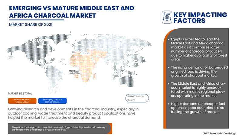 글로벌 숯 시장