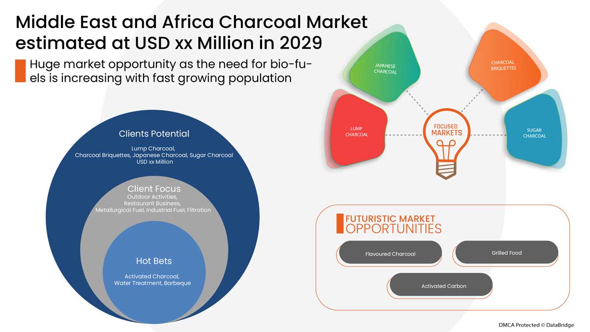 Middle East and Africa Charcoal Market