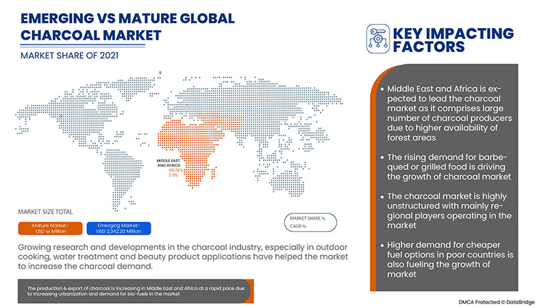 Middle East and Africa Charcoal Market