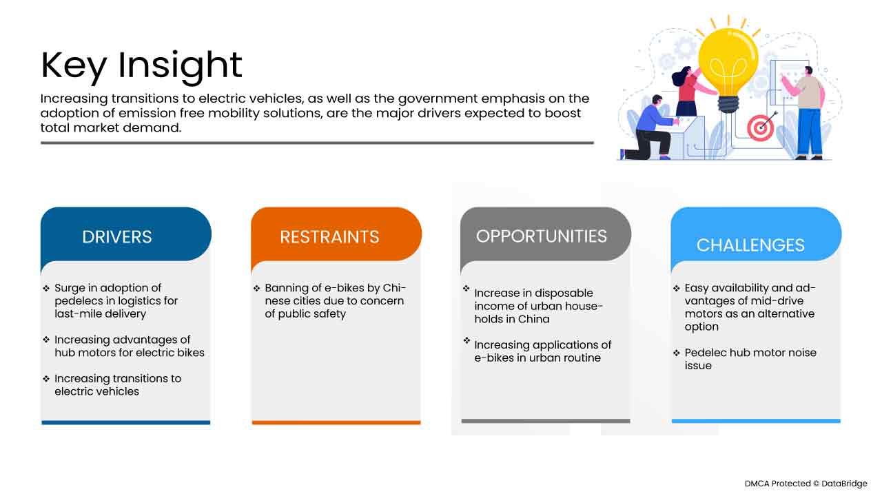 China E-Bike (Pedelec bikes) Hub Motor Market