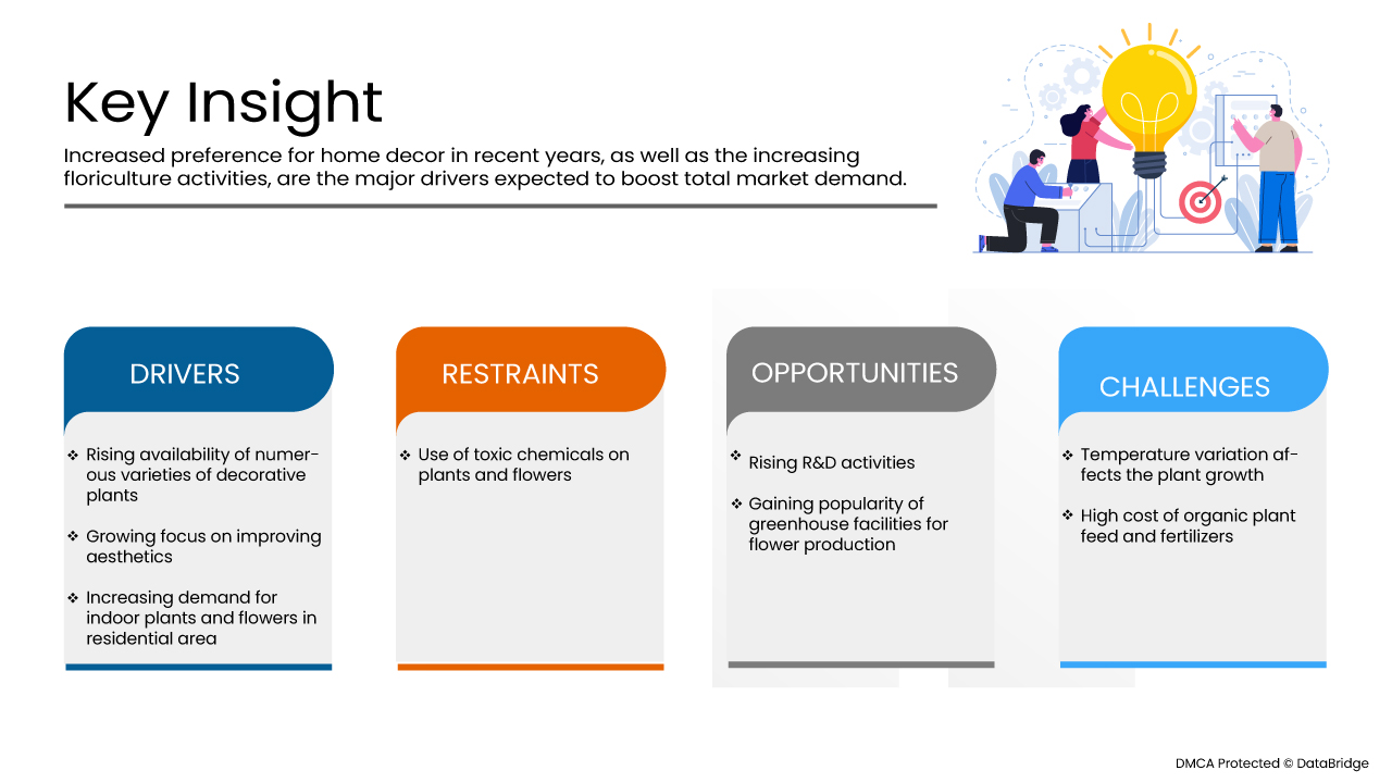 سوق الزهور والنباتات الزينة في أوروبا