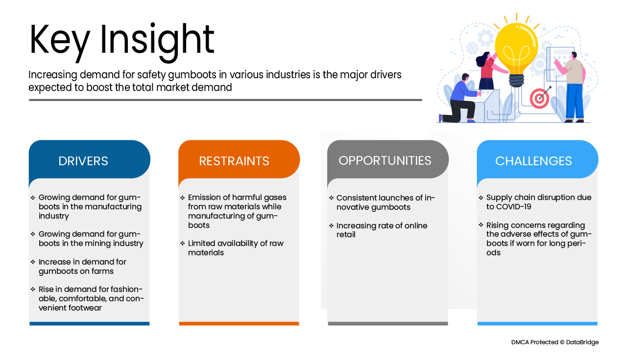ヨーロッパ長靴市場