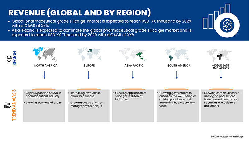سوق هلام السيليكا الصيدلاني