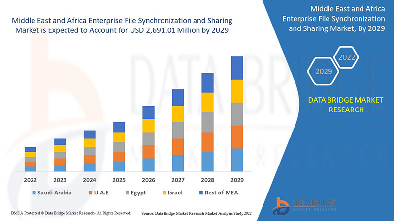 Middle East and Africa Enterprise File Synchronization and Sharing Market