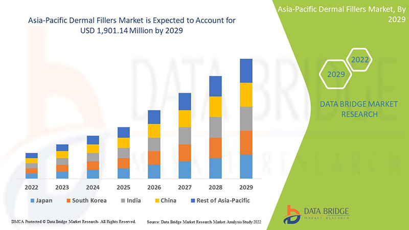 Dermal Fillers Market