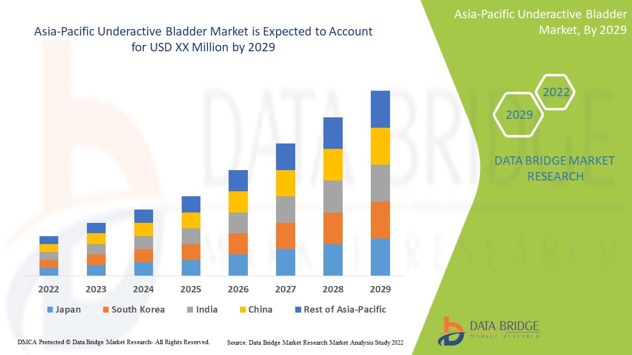 Asia-Pacific Underactive Bladder Market