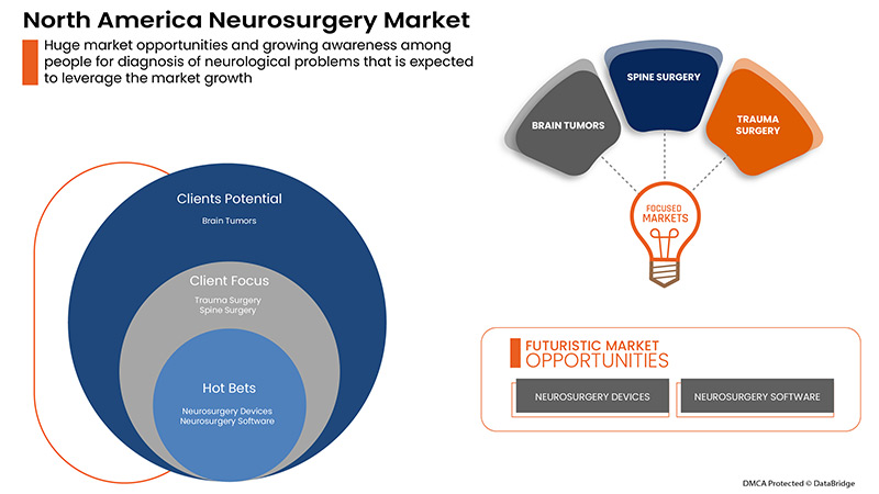 Mercado de neurocirugía en América del Norte