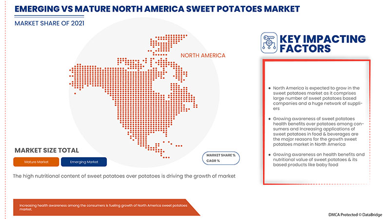 سوق البطاطا الحلوة في أمريكا الشمالية