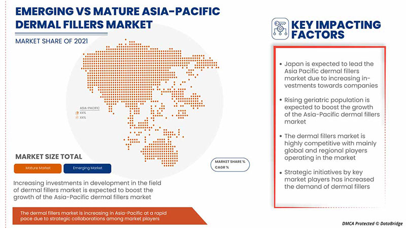 Dermal Fillers Market