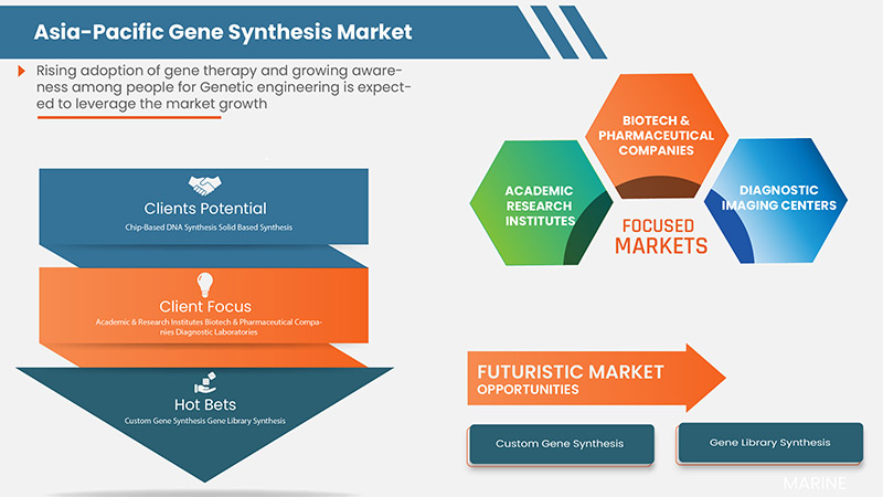 Asia-Pacific Gene Synthesis Market