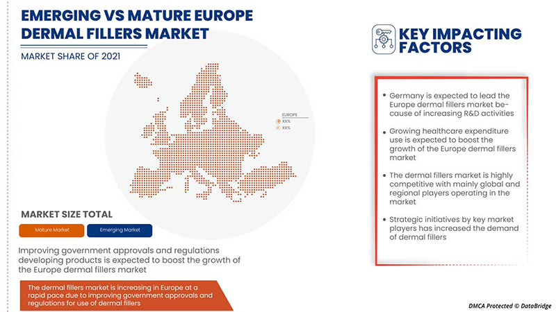 Dermal Fillers Market