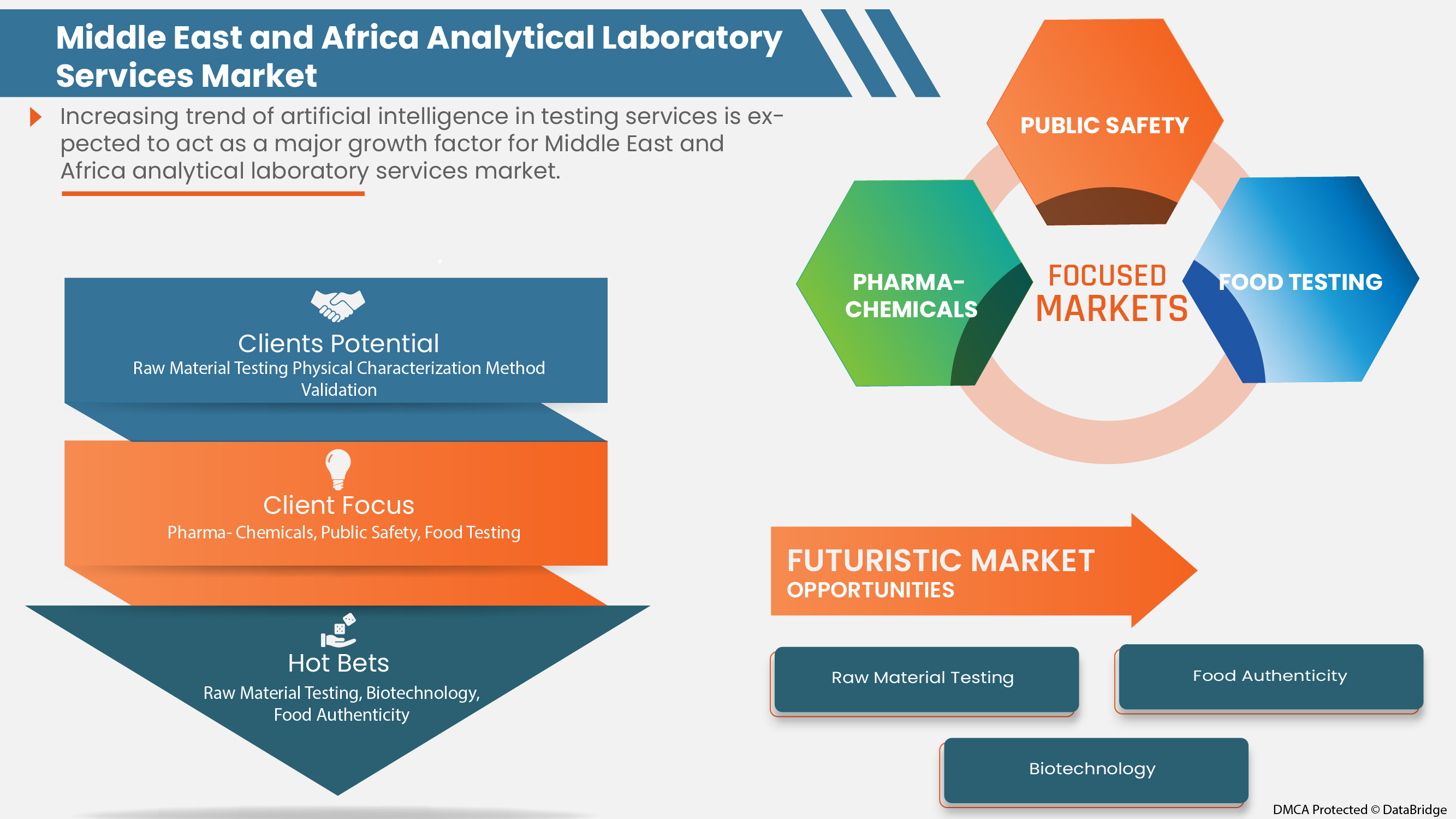 Analytical Laboratory Services Market