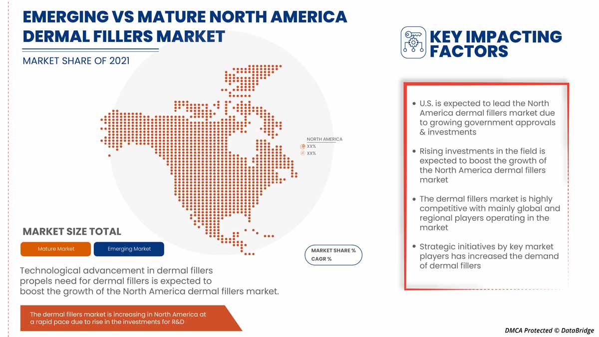 North America Dermal Fillers Market