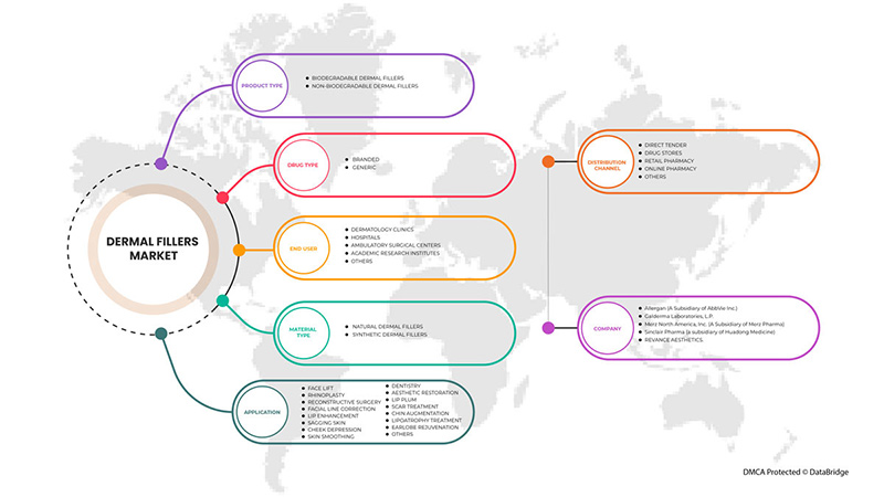 Dermal Fillers Market