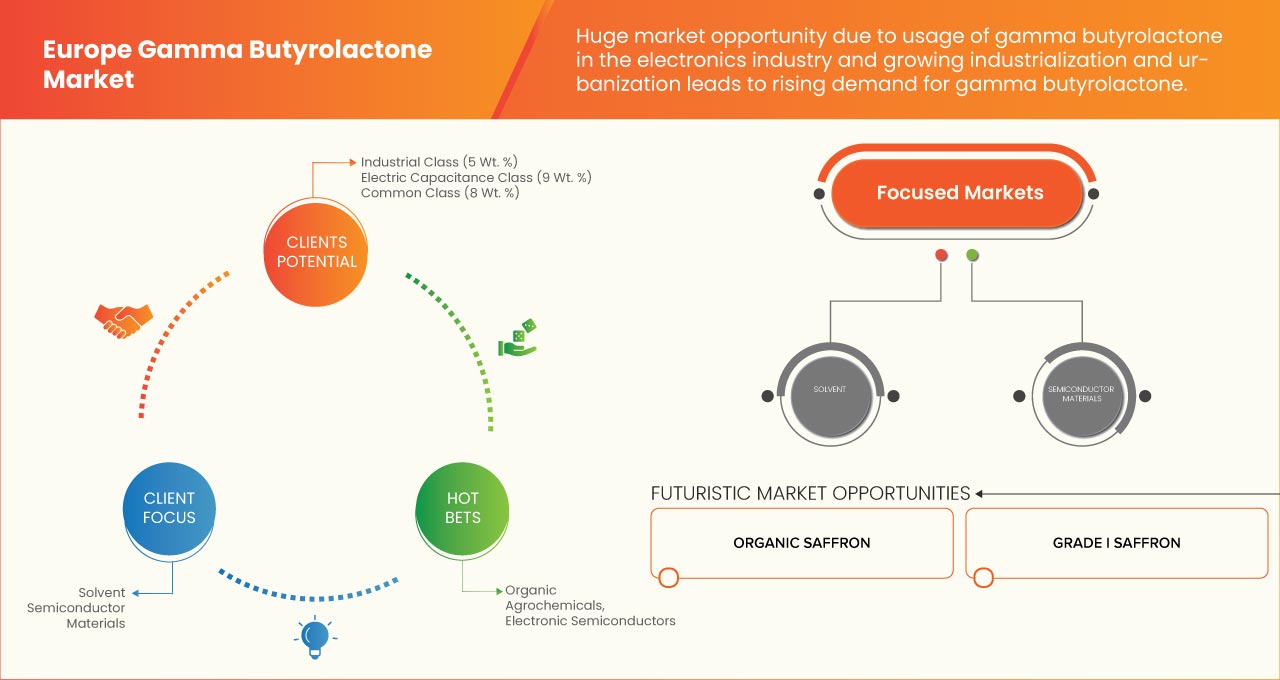 Europe Gamma Butyrolactone Market