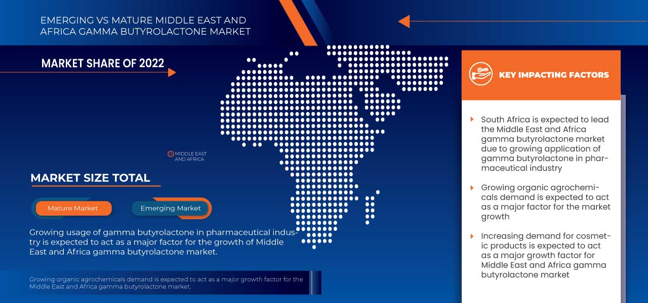 Middle East and Africa Gamma Butyrolactone Market