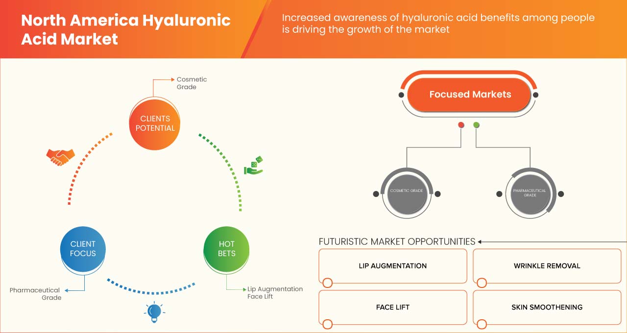 Hyaluronic Acid Market
