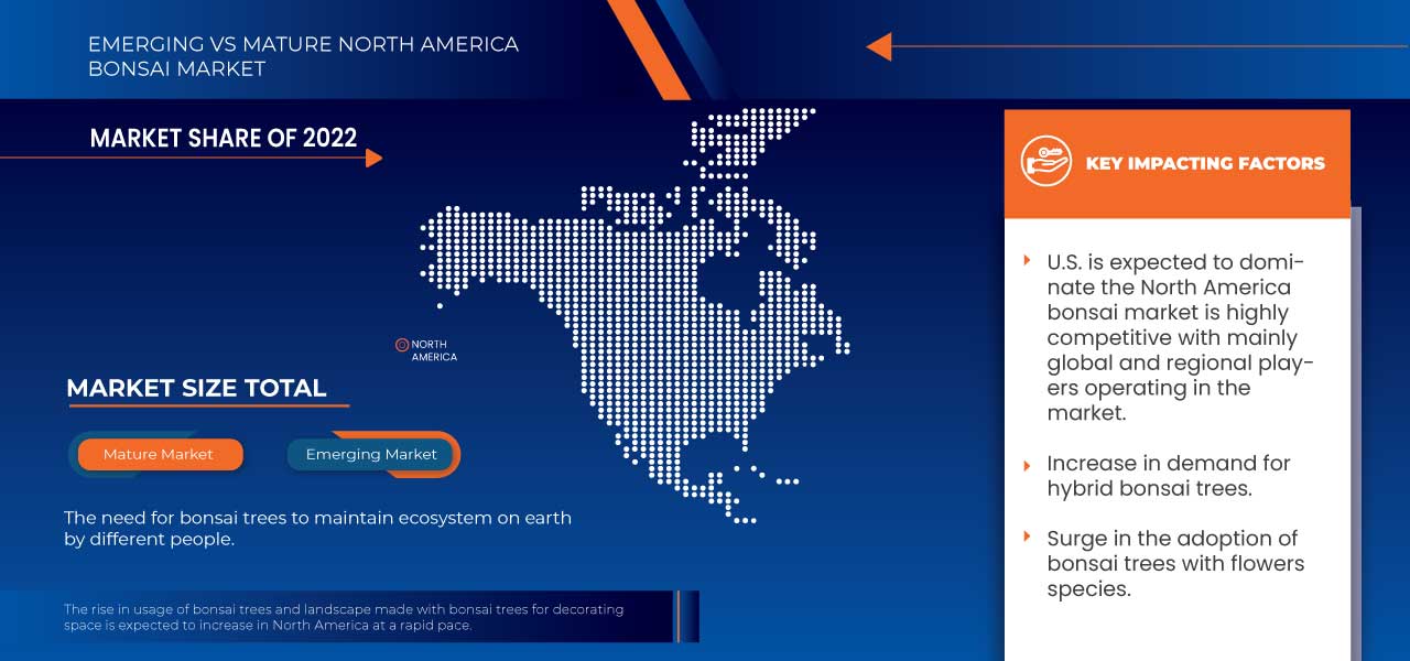 North America Bonsai Market
