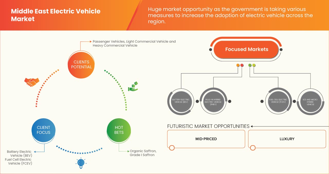 Markt für Elektrofahrzeuge im Nahen Osten und Afrika