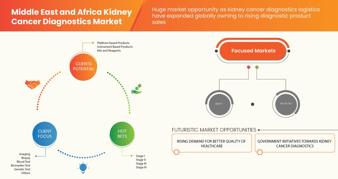 Middle East and Africa Kidney Cancer Diagnostics Market