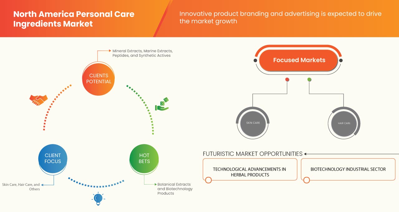 North America Personal Care Ingredients Market