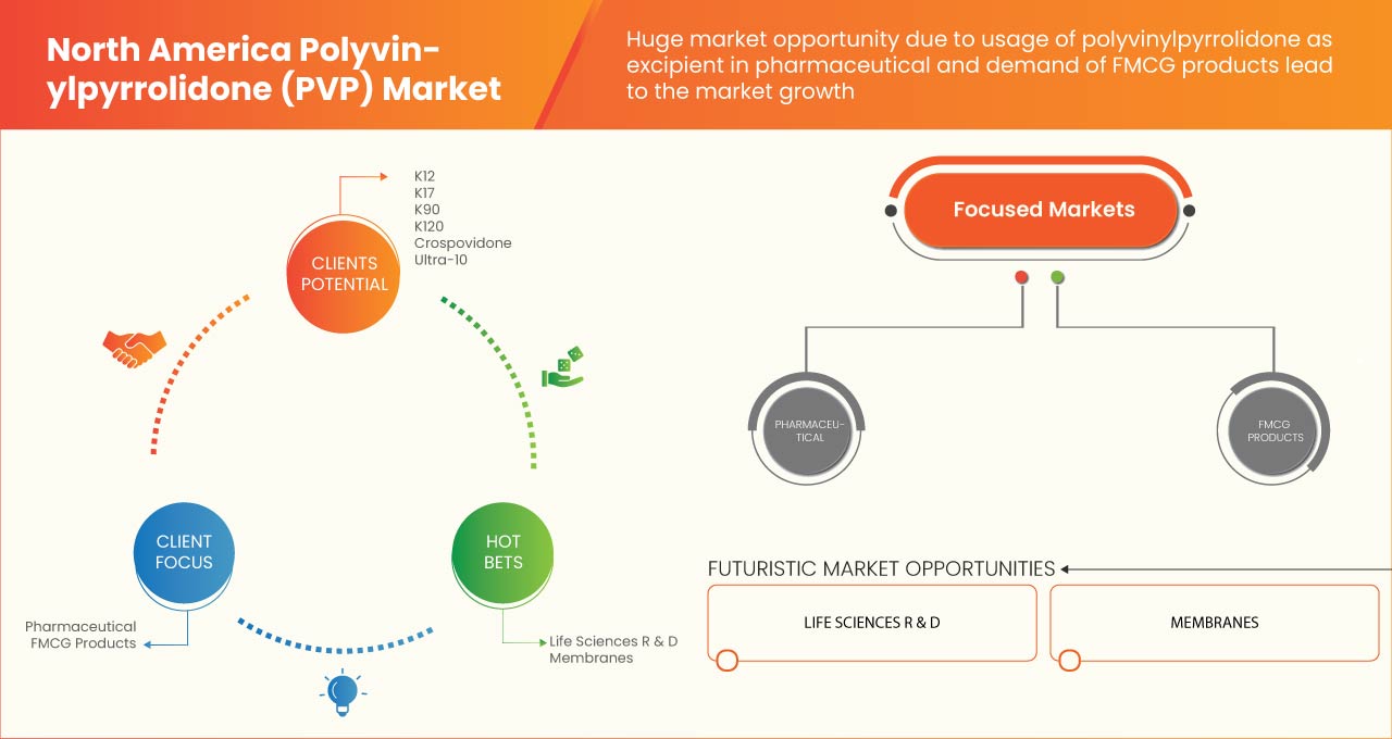 North America Polyvinylpyrrolidone (PVP) Market
