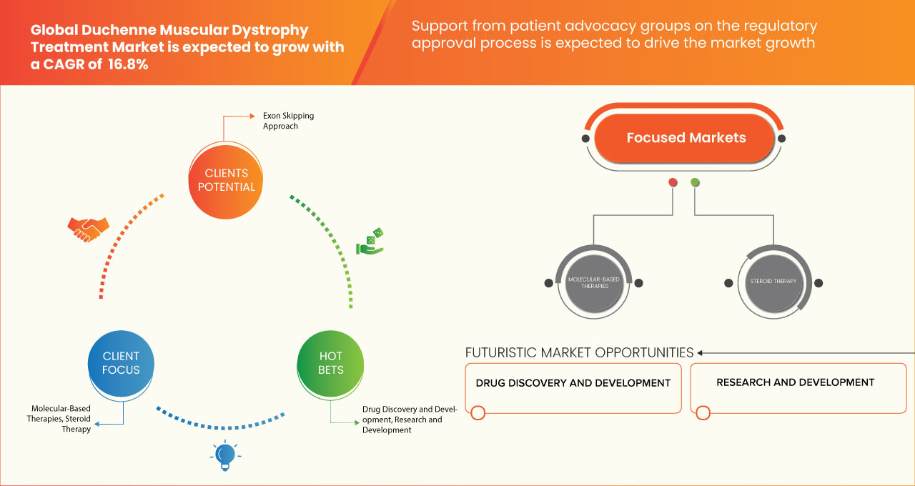 Duchenne Muscular Dystrophy Treatment Market