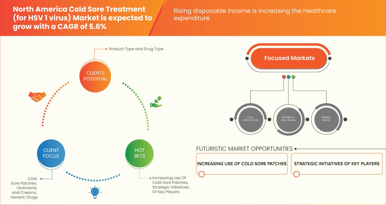 سوق علاج القروح الباردة في أمريكا الشمالية (لفيروس الهربس البسيط من النوع 1)