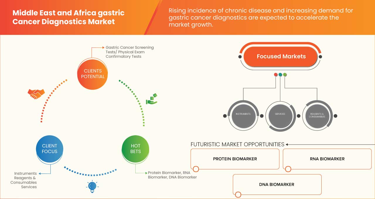 Middle East and Africa Gastric Cancer Diagnostics Market