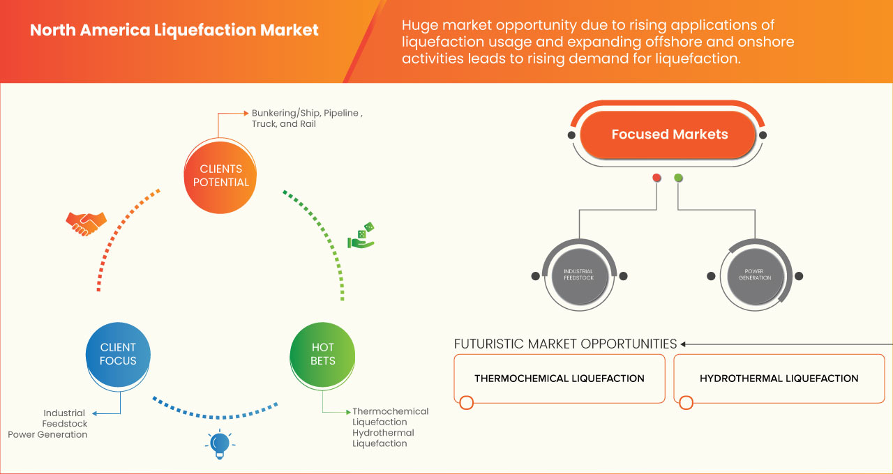 North America Liquefaction Market