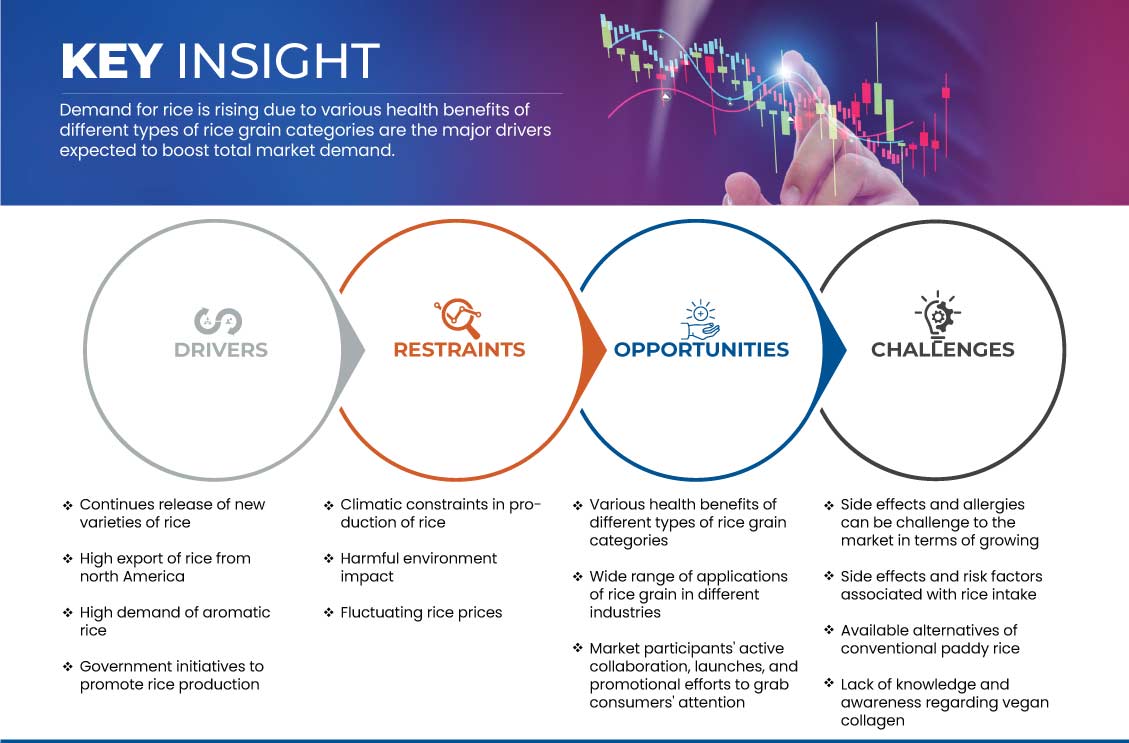 Marché du riz en Amérique du Nord