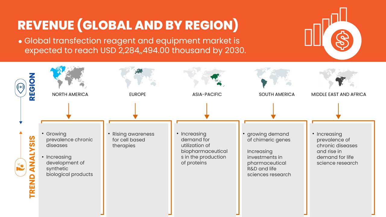 トランスフェクション試薬および装置市場