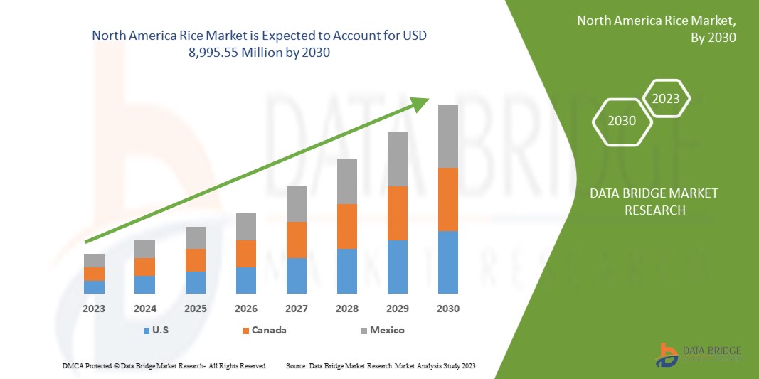 North America Rice Market