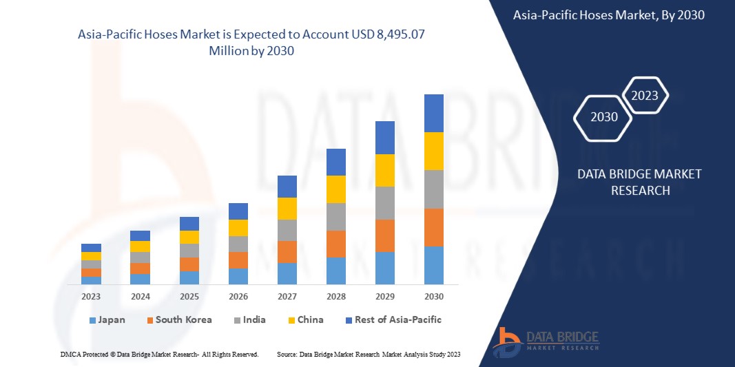 Asia-Pacific Hoses Market