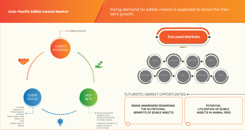 Asia-Pacific Edible Insects Market
