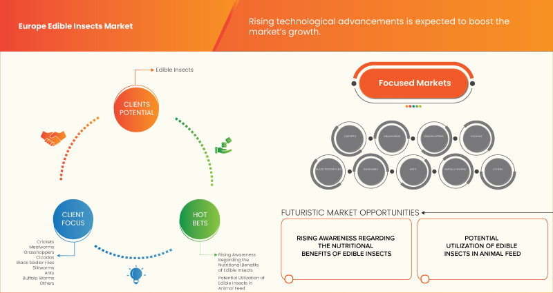 Edible Insects Market