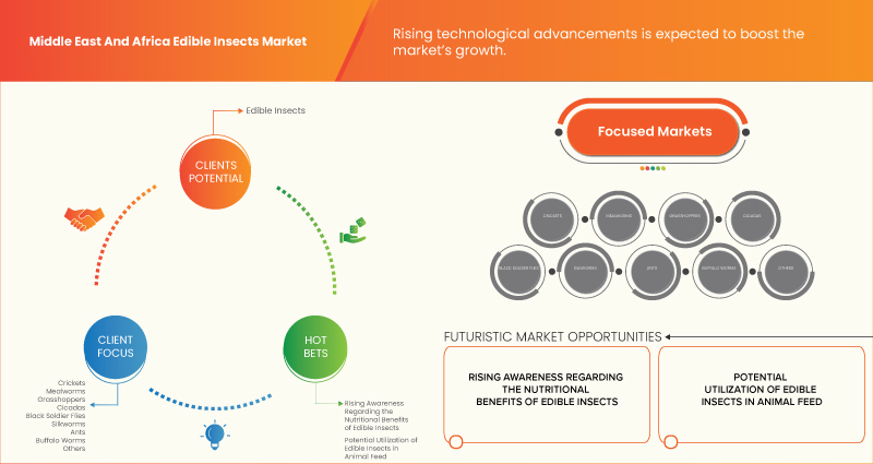 Middle East and Africa Edible Insects Market