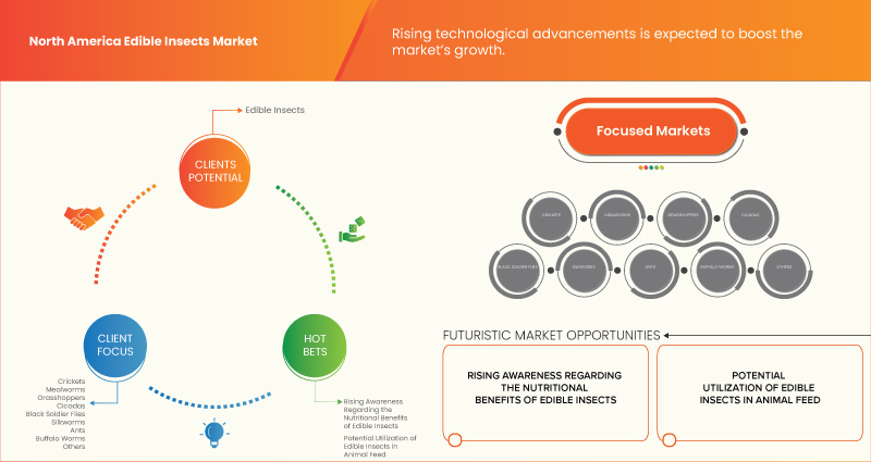 North America Edible Insects Market