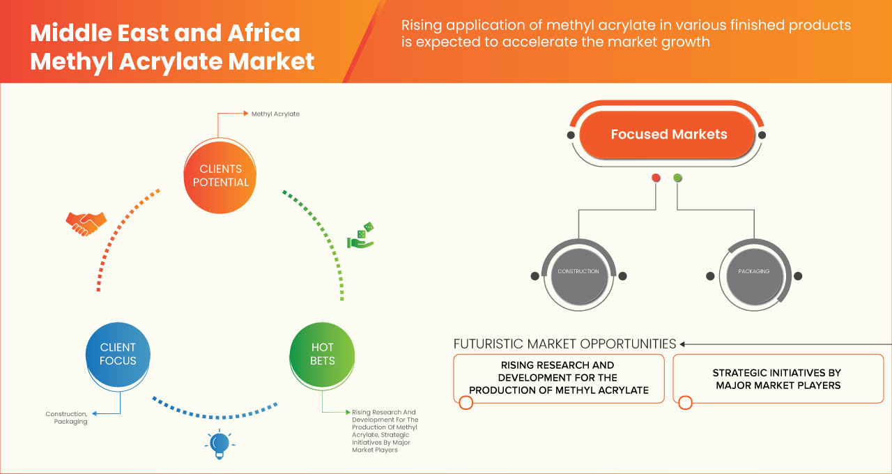 Middle East and Africa Methyl Acrylate Market