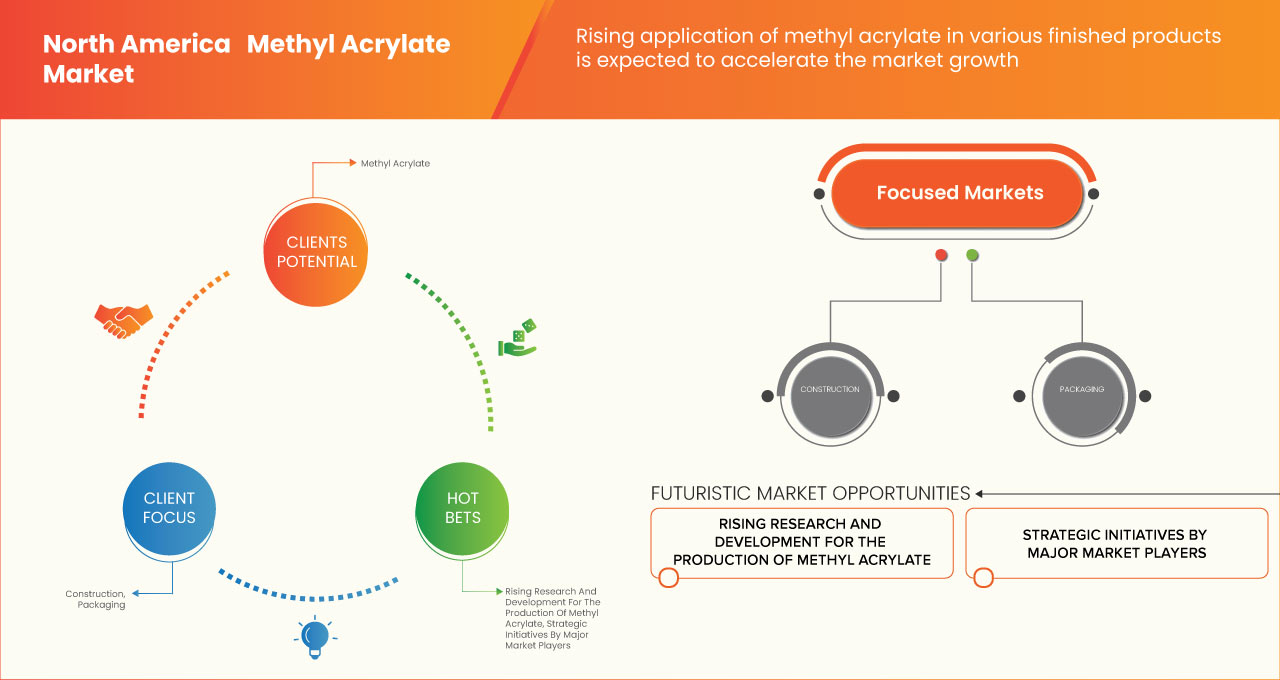 North America Methyl Acrylate Market