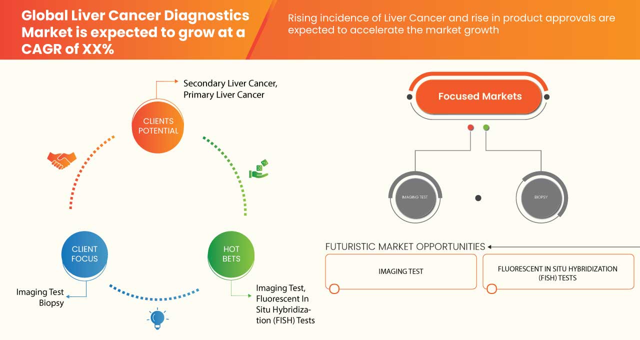 Liver Cancer Diagnostics Market