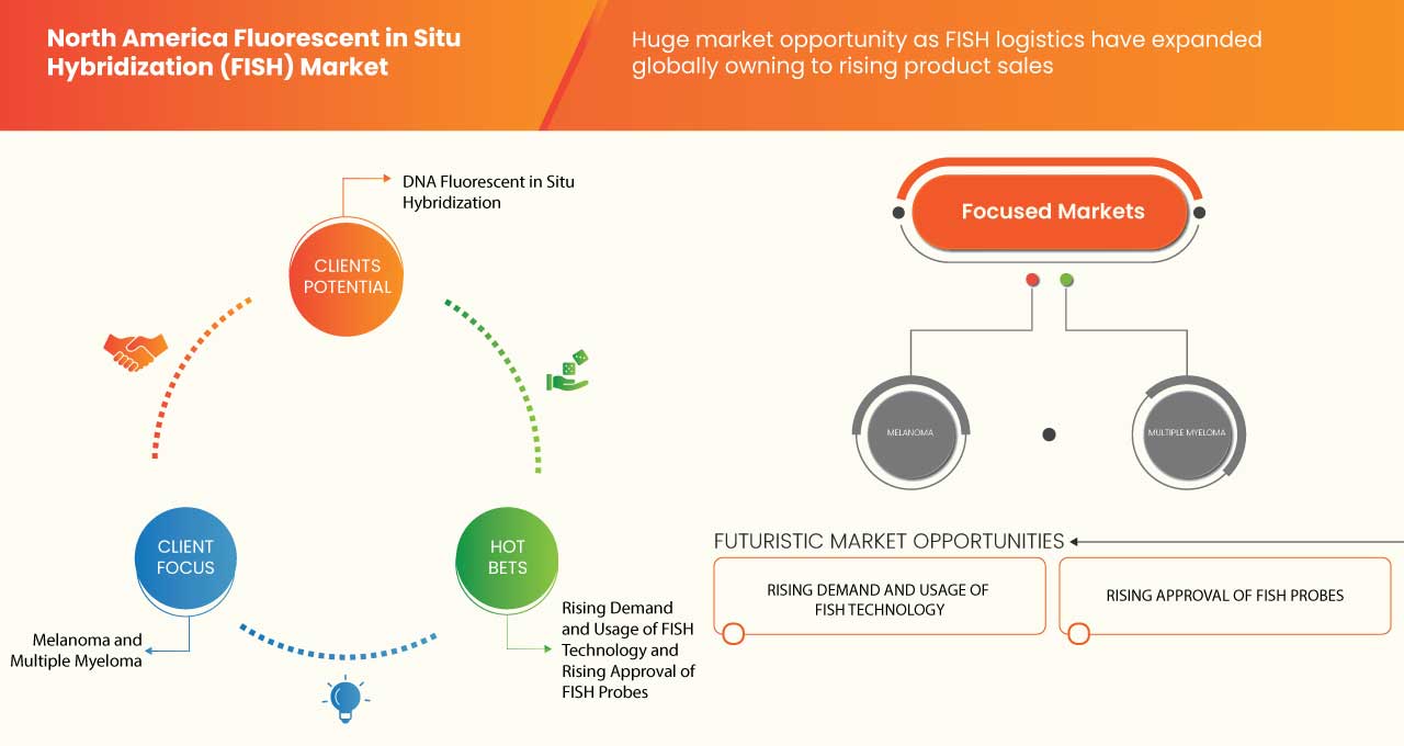 North America Fluorescent in Situ Hybridization (FISH) Market
