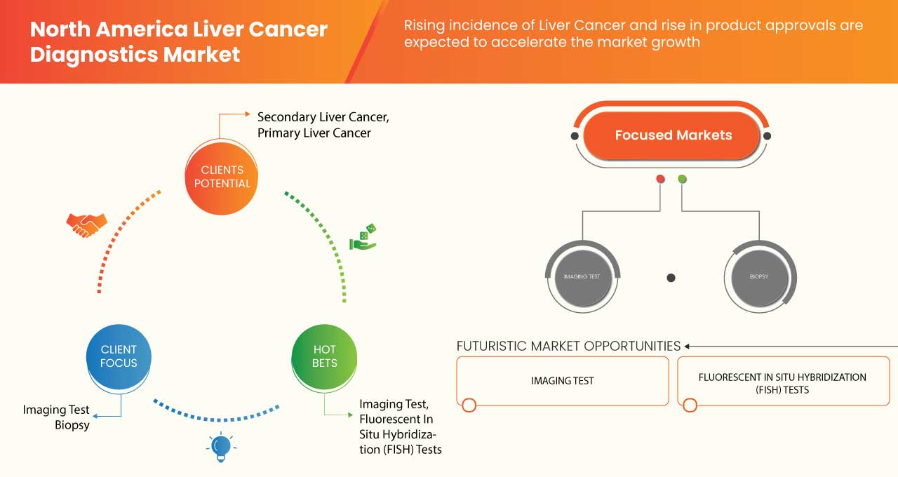 North America Liver Cancer Diagnostics Market