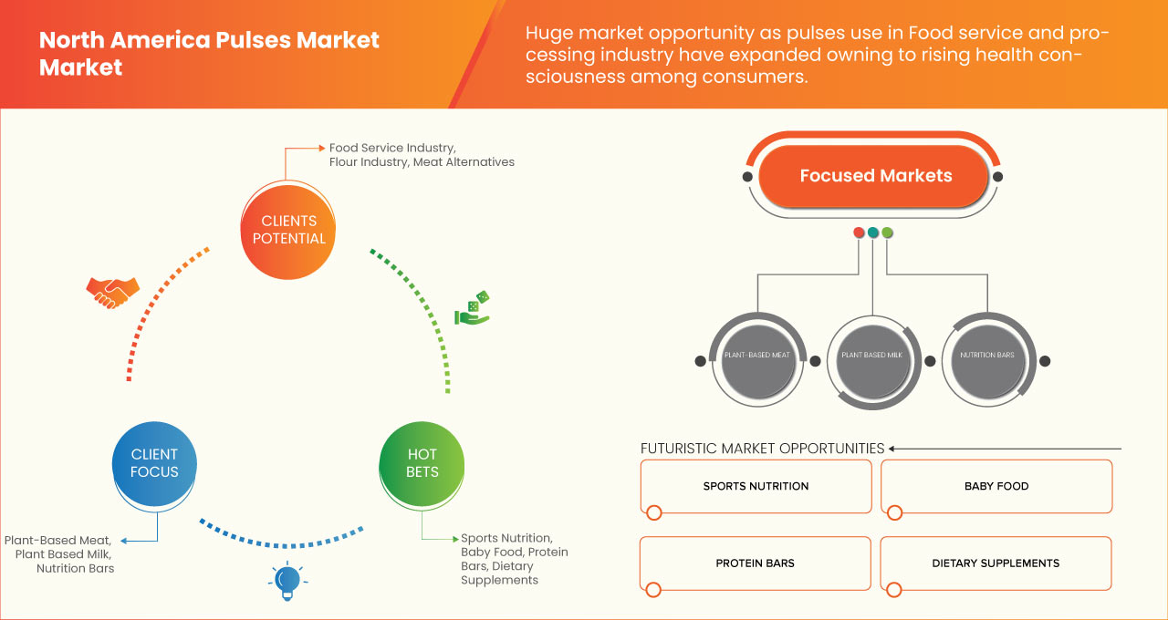 Mercado de legumbres de América del Norte